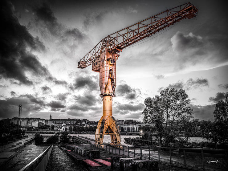 PHOTO OPEN CEDRIC BLONDEEL : Grue Jaune Automne - Nantes